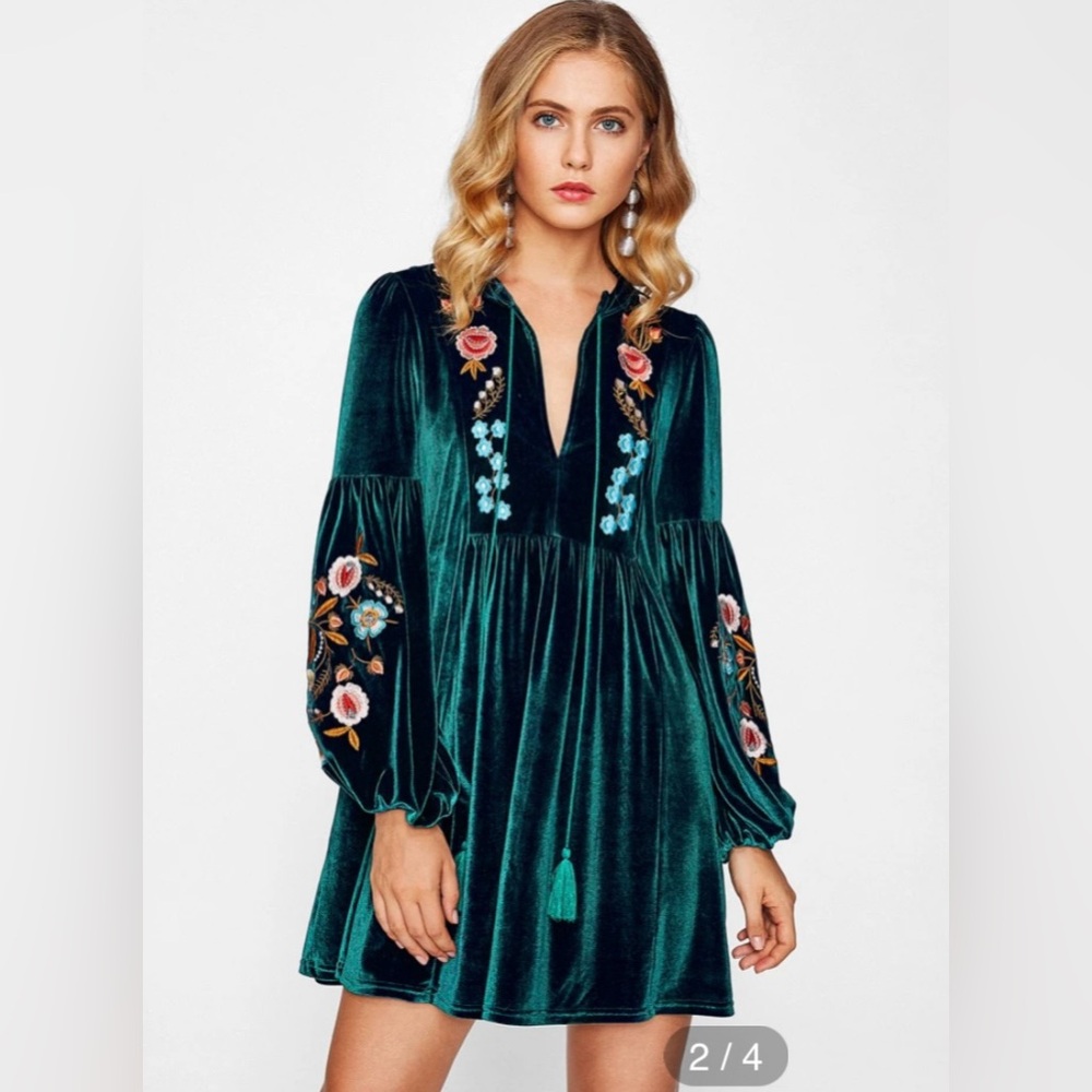 Tasseled Tie Bishop Sleeve Embroidery Velvet Dress